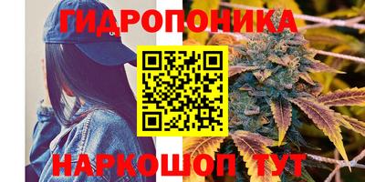 сатива Тара