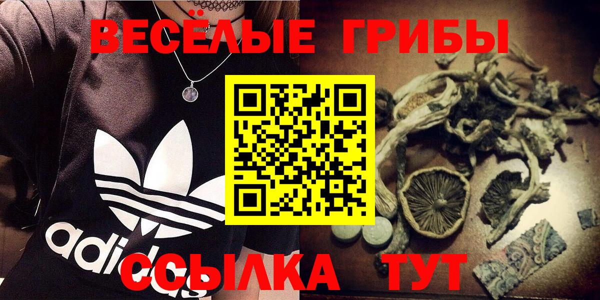 Псилоцибиновые грибы Psilocybine cubensis  Вход с VPN  наркотики  Псилоцибиновые грибы ЛСД  Борзя 