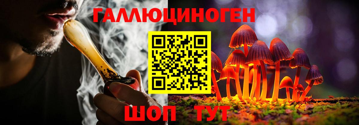 Галлюциногенные грибы Cubensis Борзя